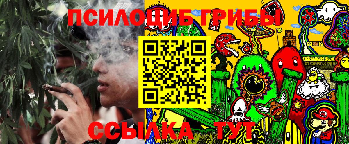 дарнет шоп  Вход с VPN  Псилоцибиновые грибы MAGIC MUSHROOMS  Шарыпово  Псилоцибиновые грибы Psilocybe 